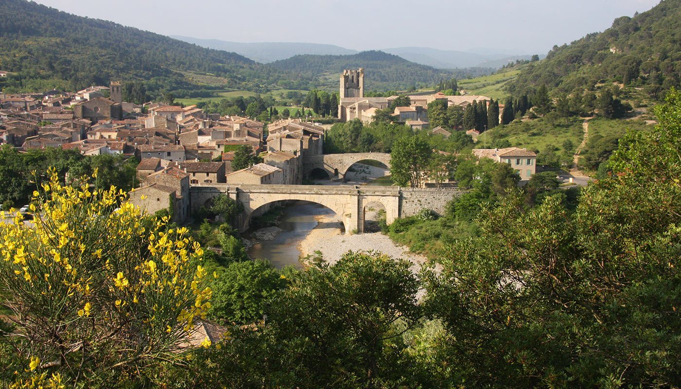 Image 11