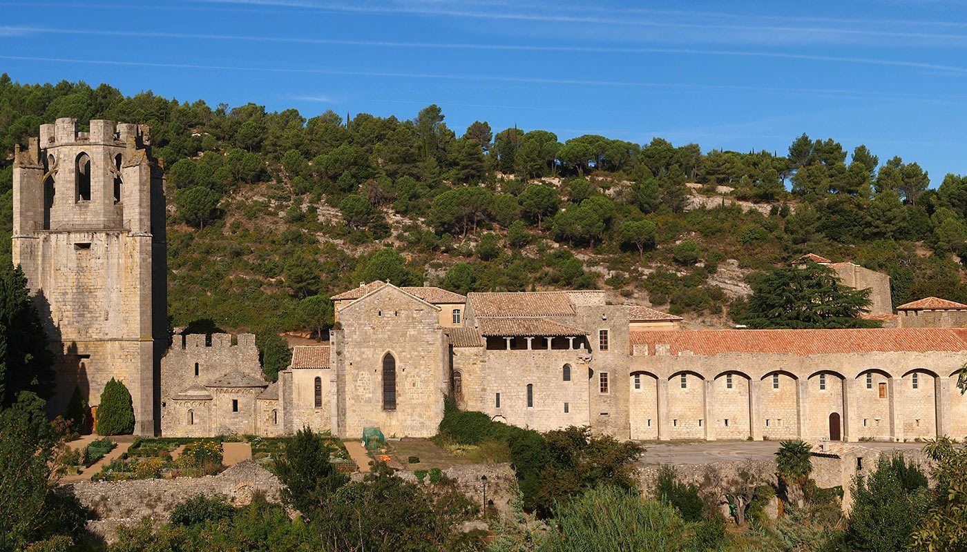 Image 12