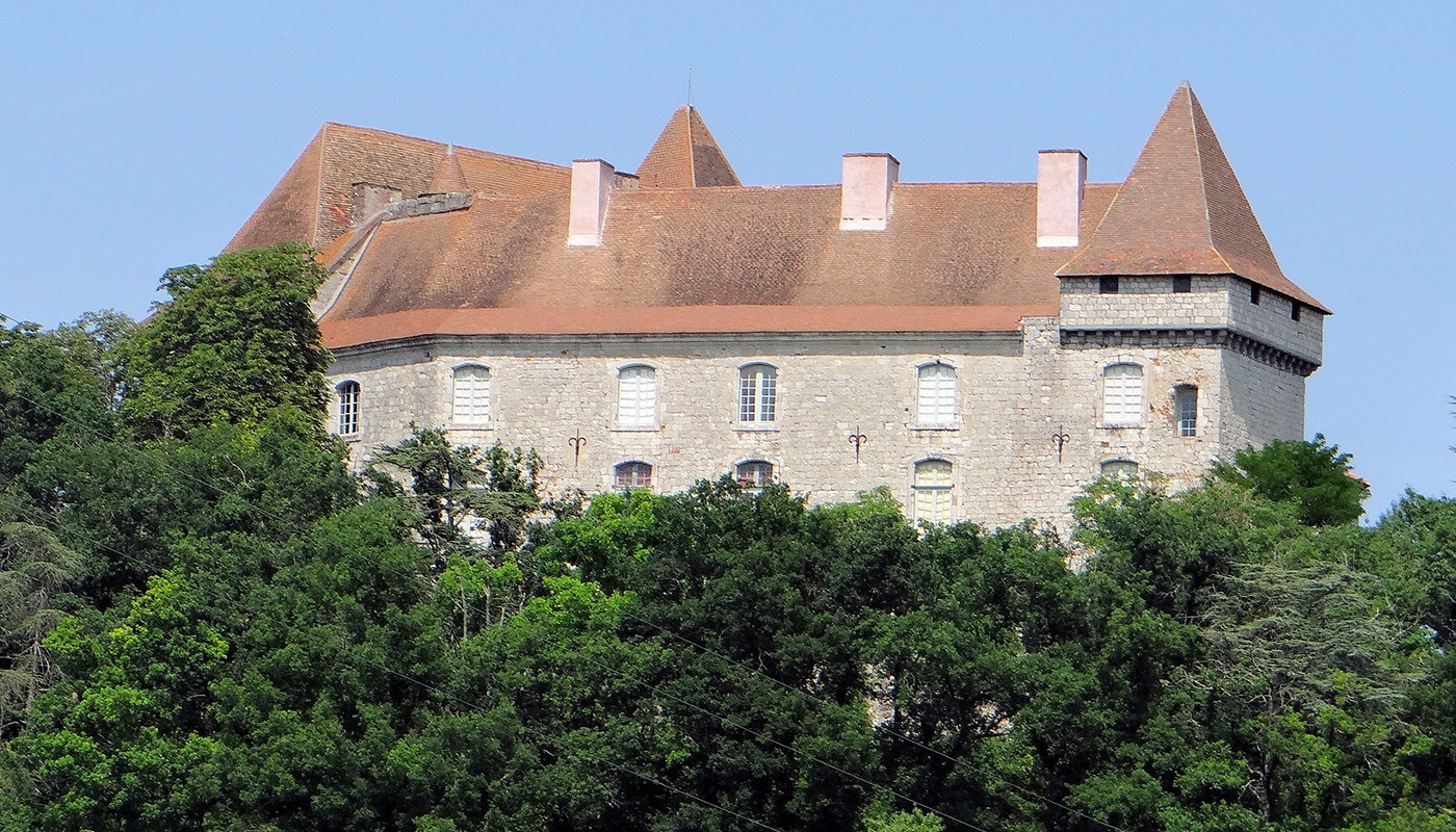 Image 7