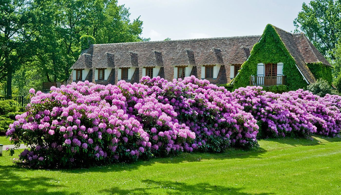 Image 15