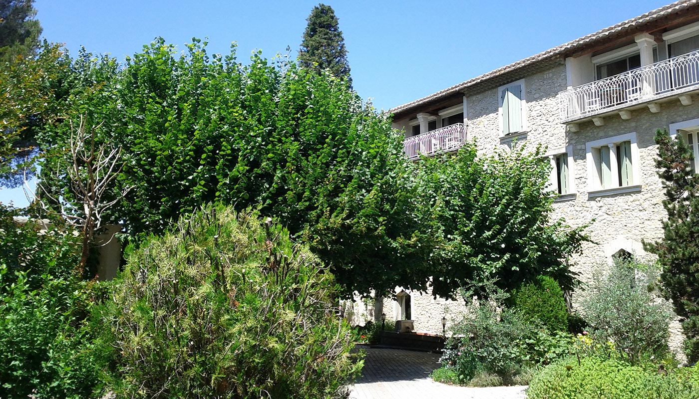 Image 19
