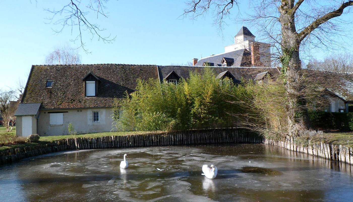 Image 20