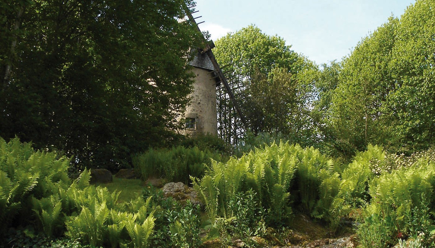Image 7
