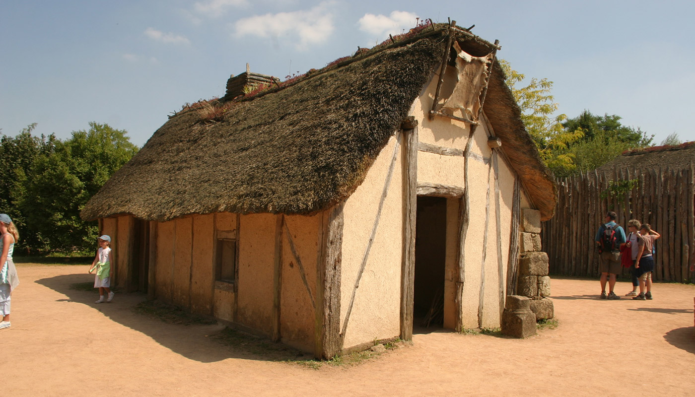 Image 31