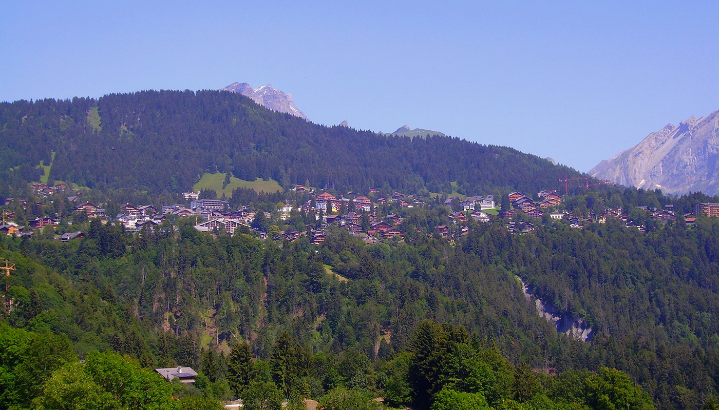 Image 5