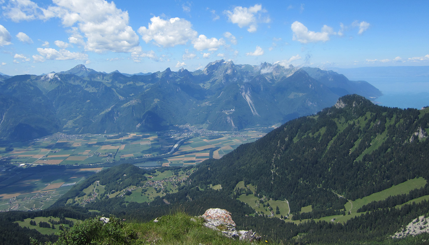 Image 4