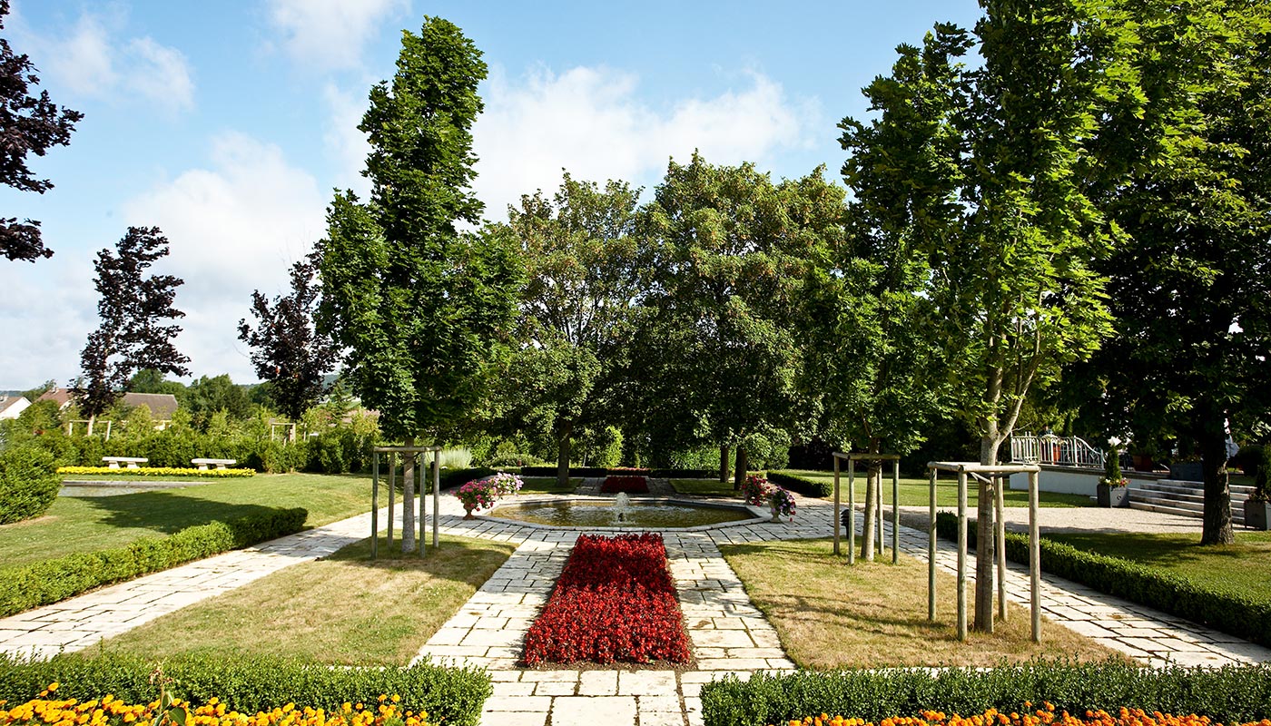 Image 35