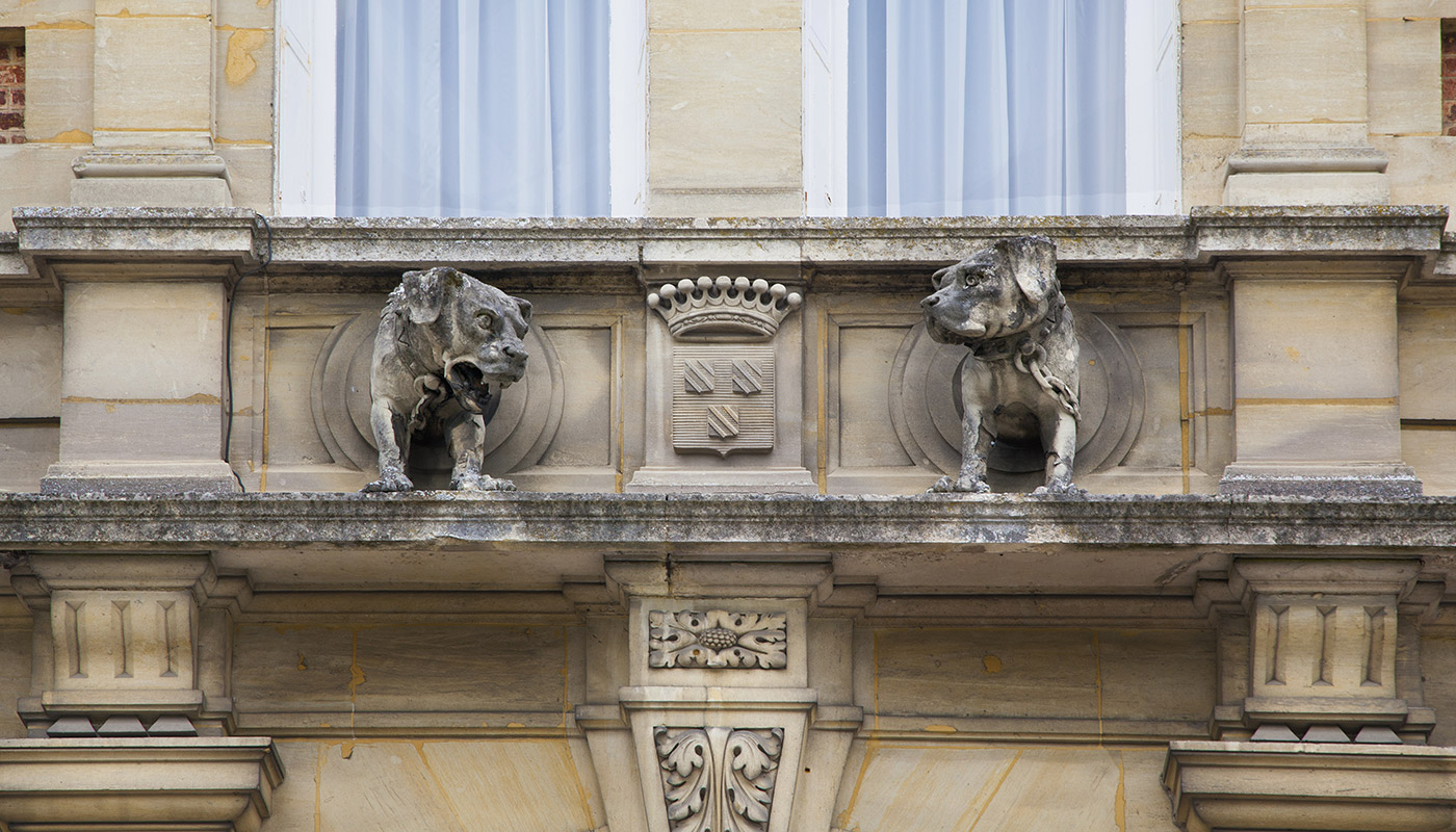 Image 20