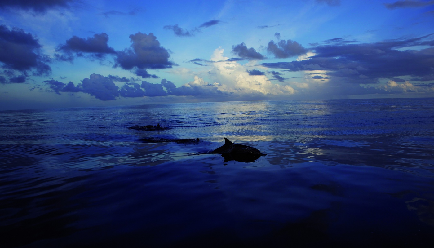 Image 65