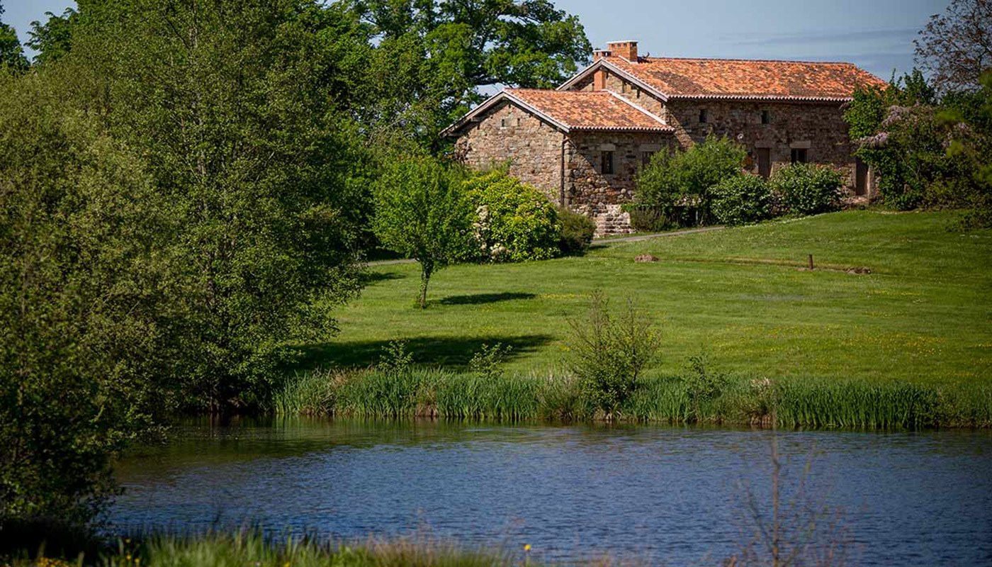 Image 35