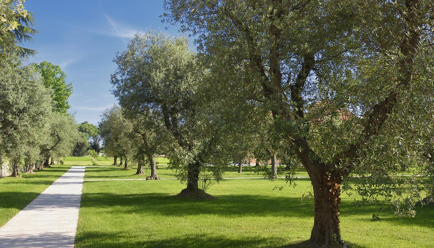 Image 106