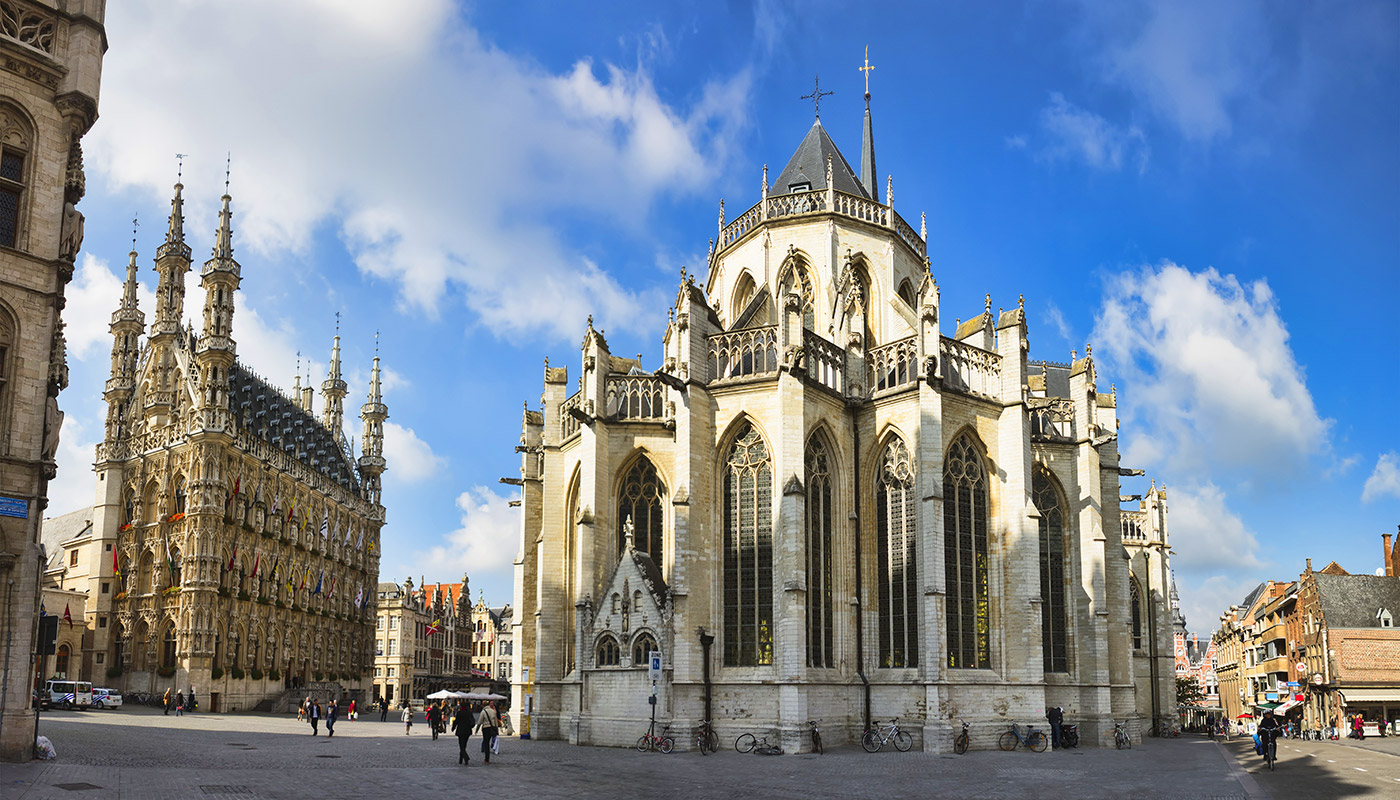 Image 6