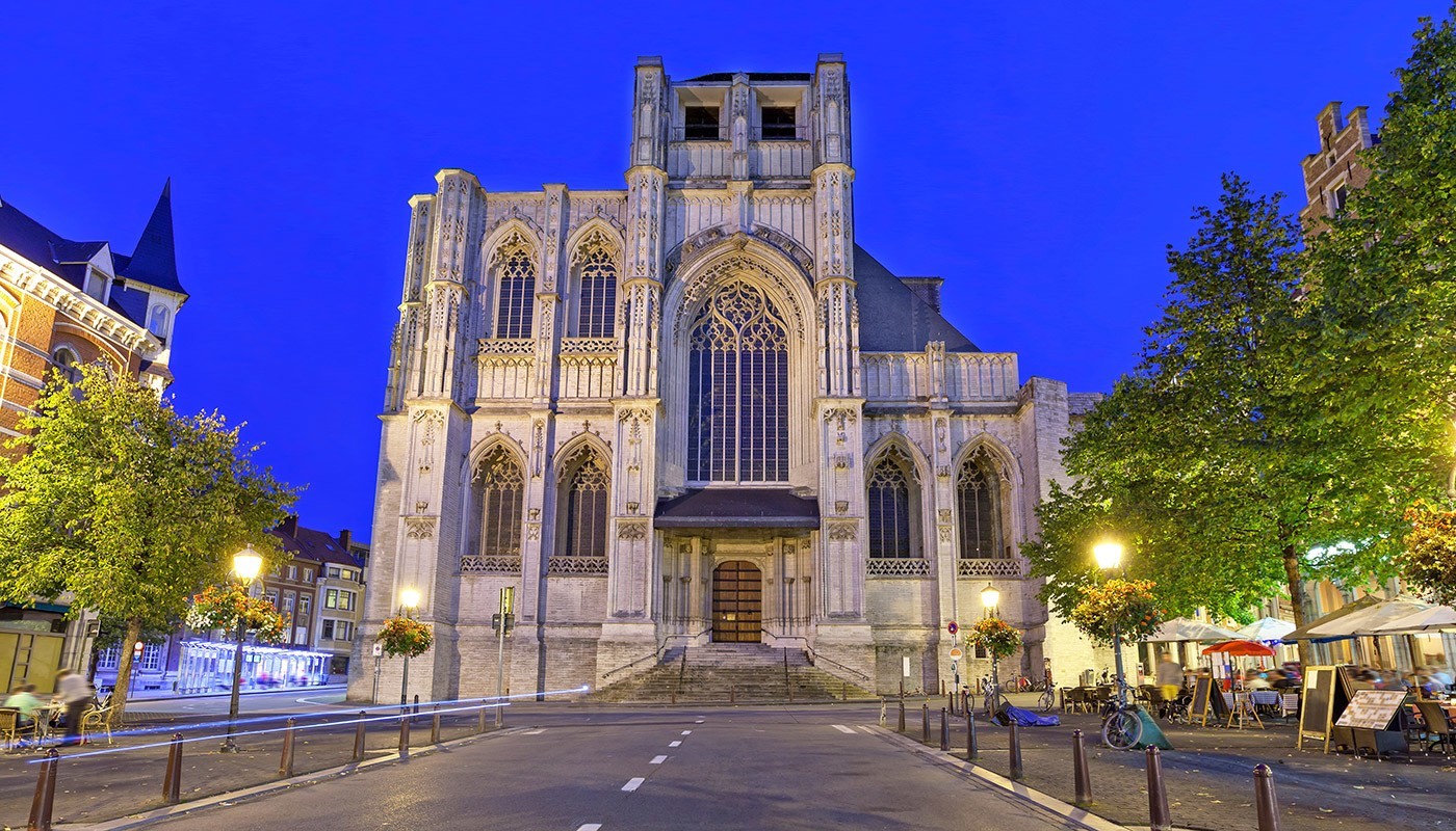 Image 7