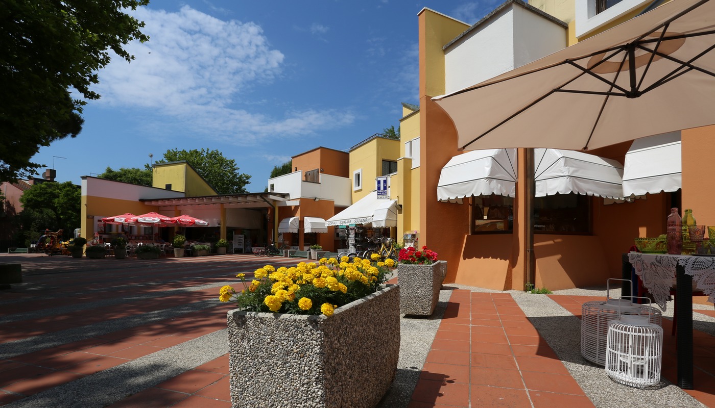 Image 19