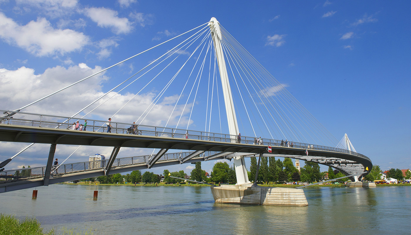 Image 21