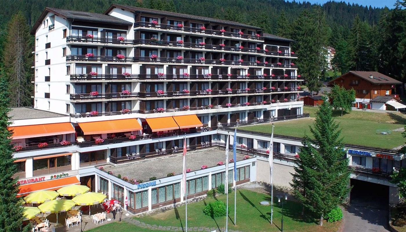 Image 3