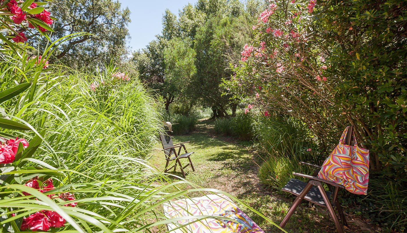 Image 85