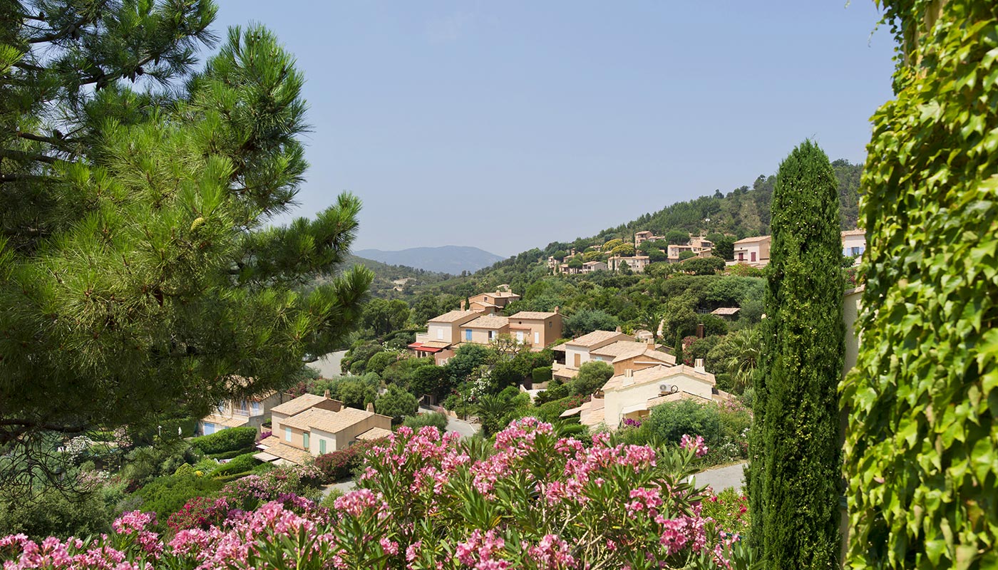 Image 21