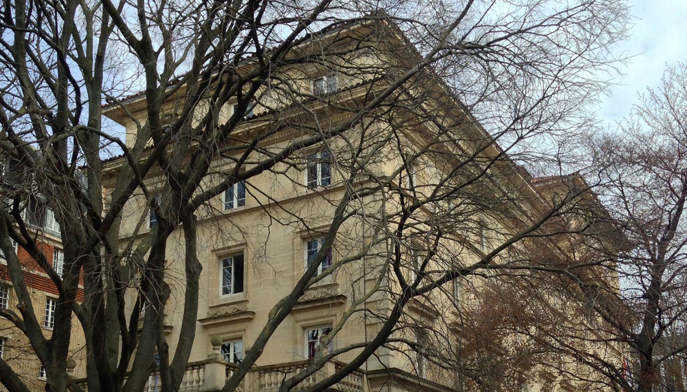 Image 7