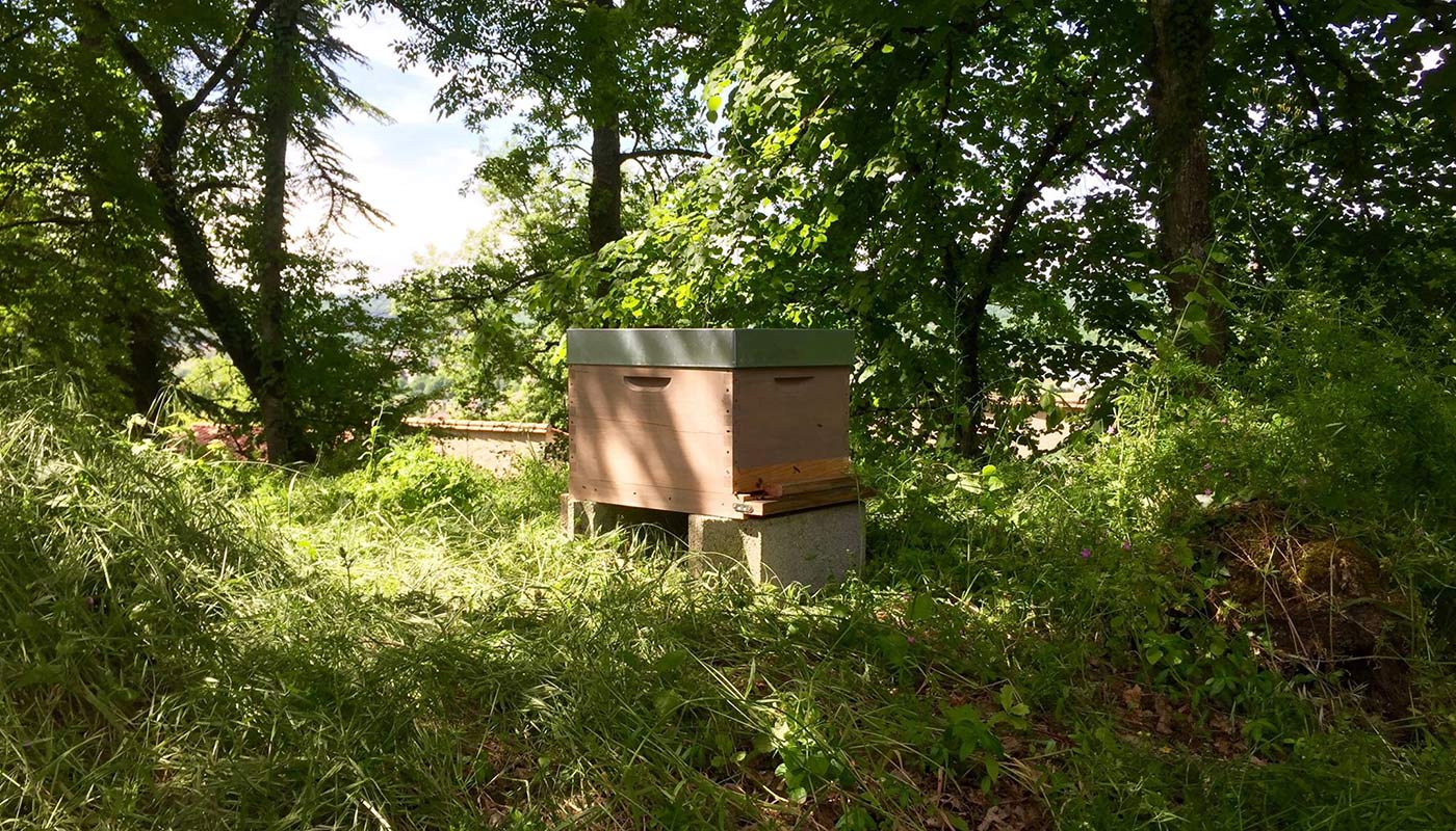 Image 68