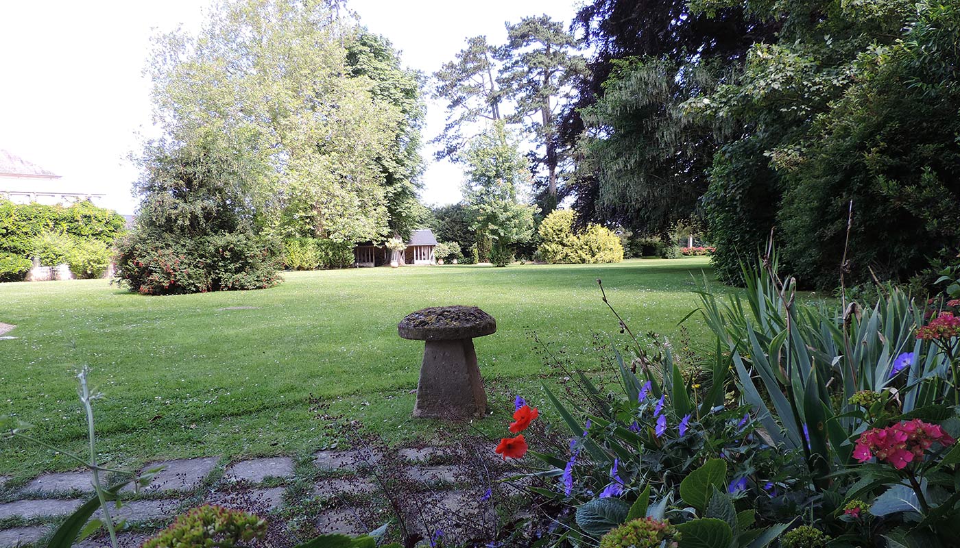 Image 42