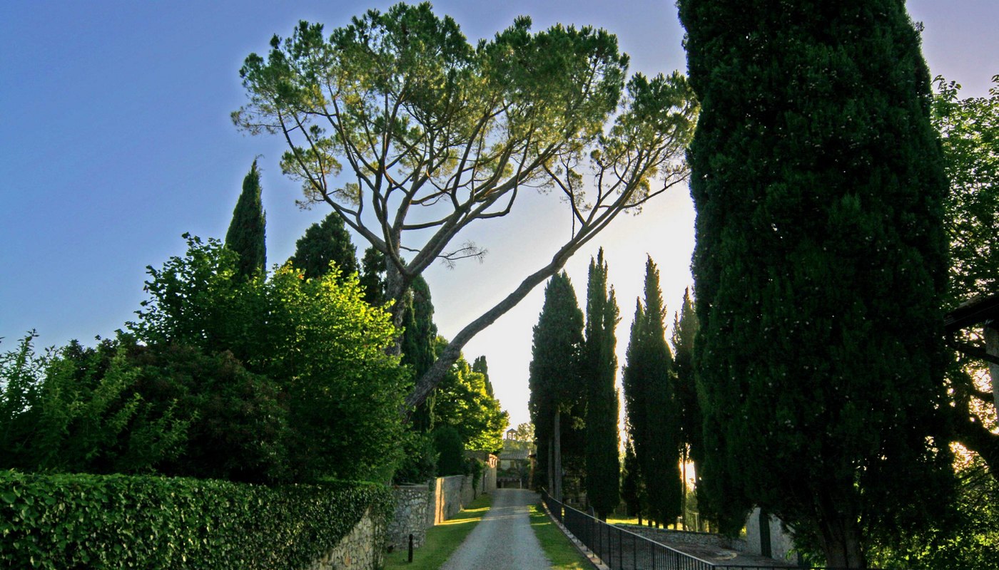 Image 19