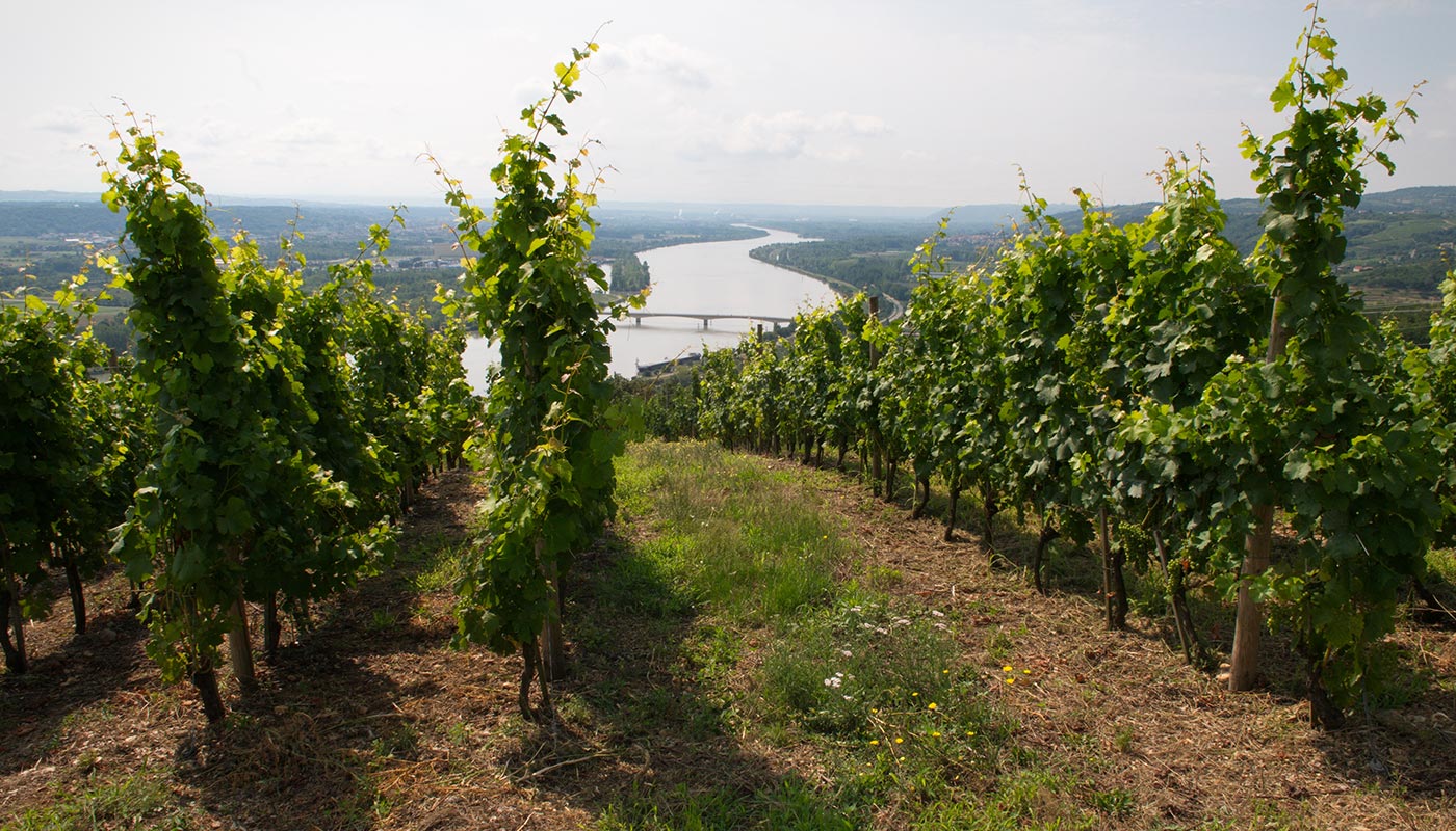 Image 15