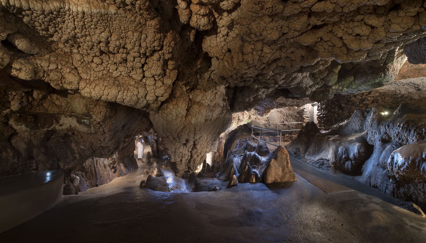 Image 33