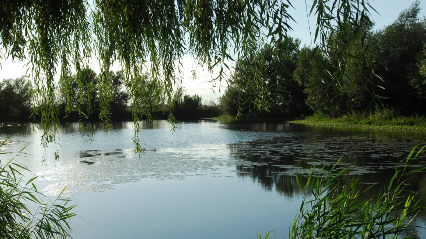 Image 38