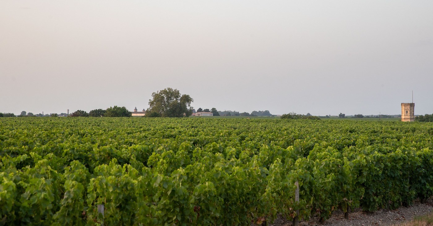 Image 66