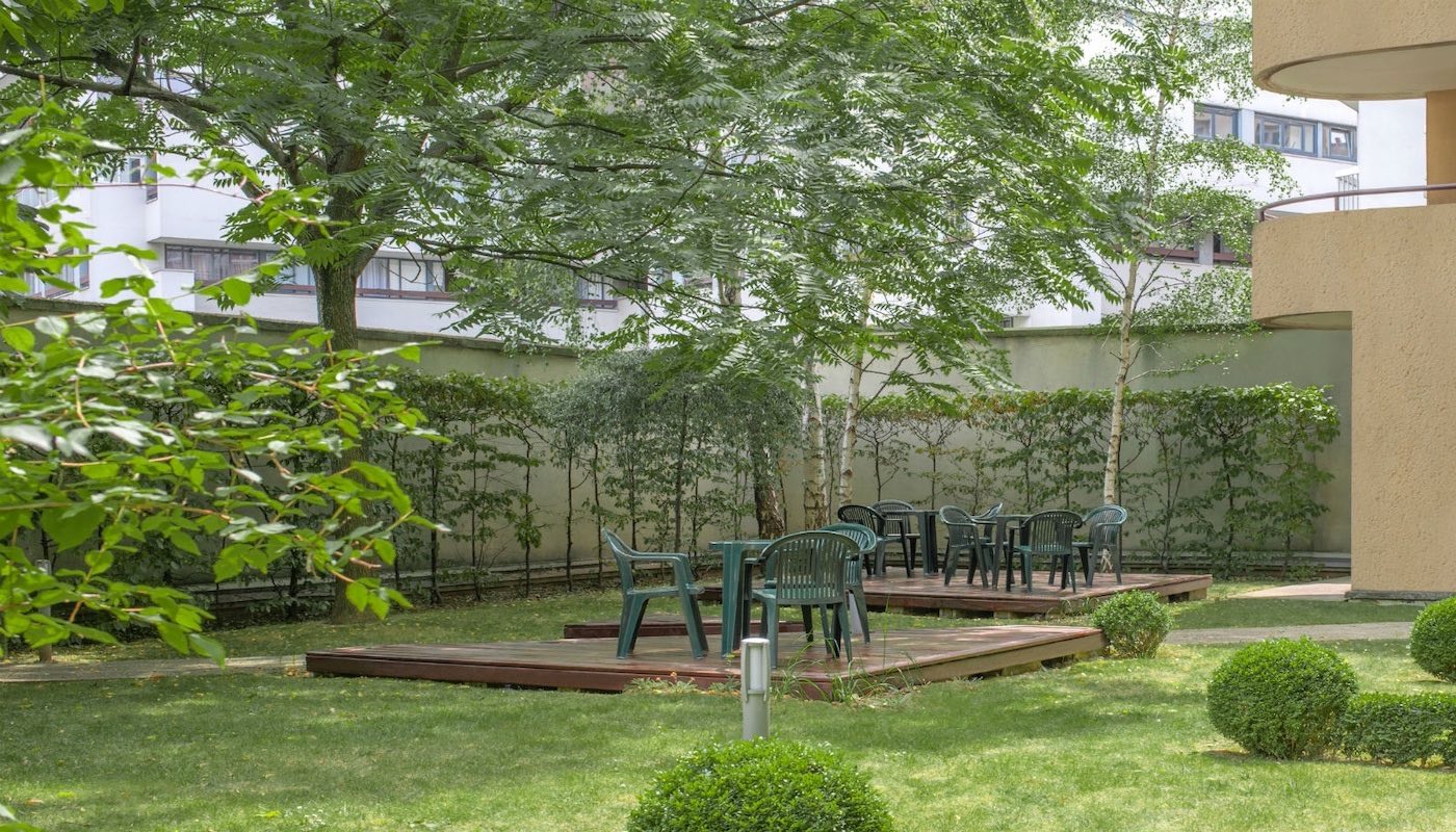 Image 19