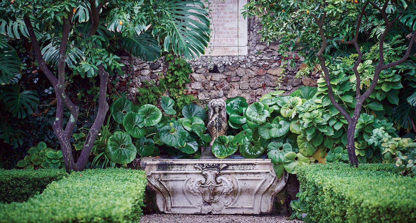 Image 62