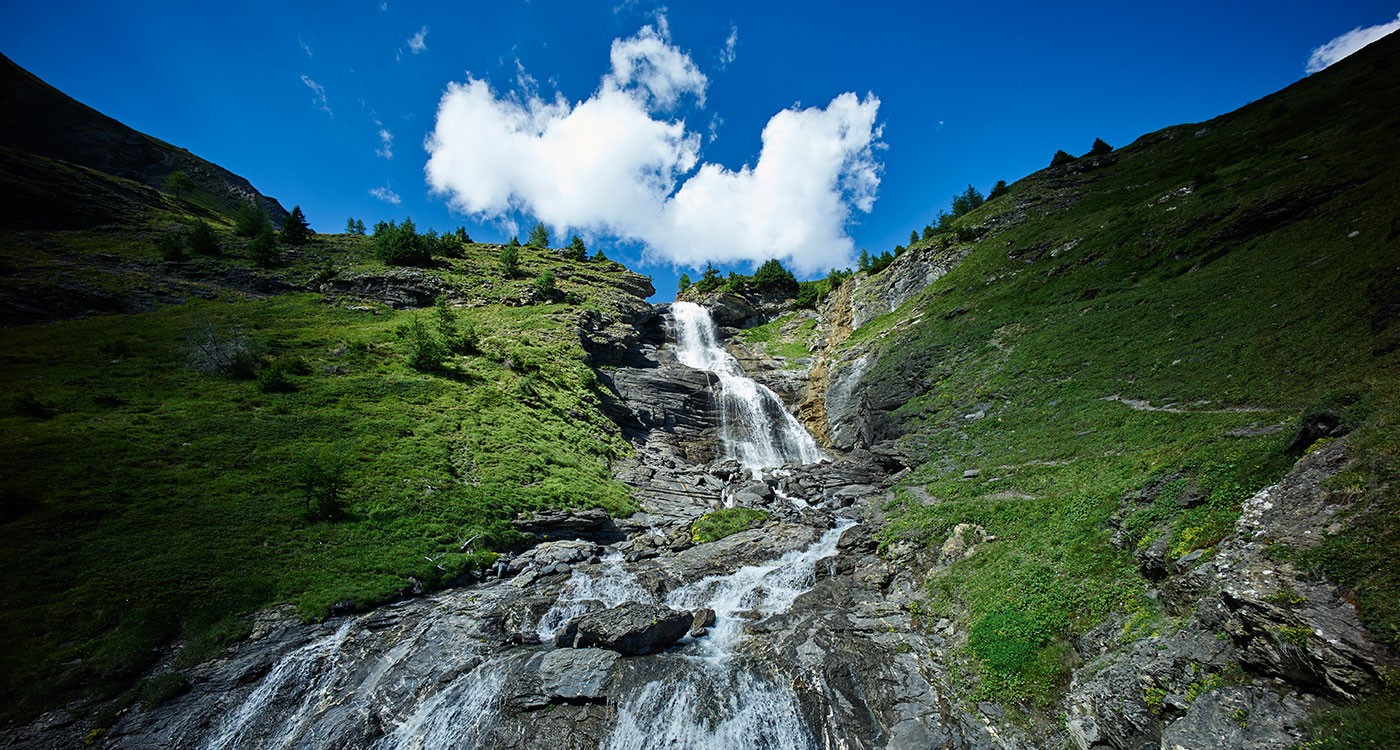 Image 90