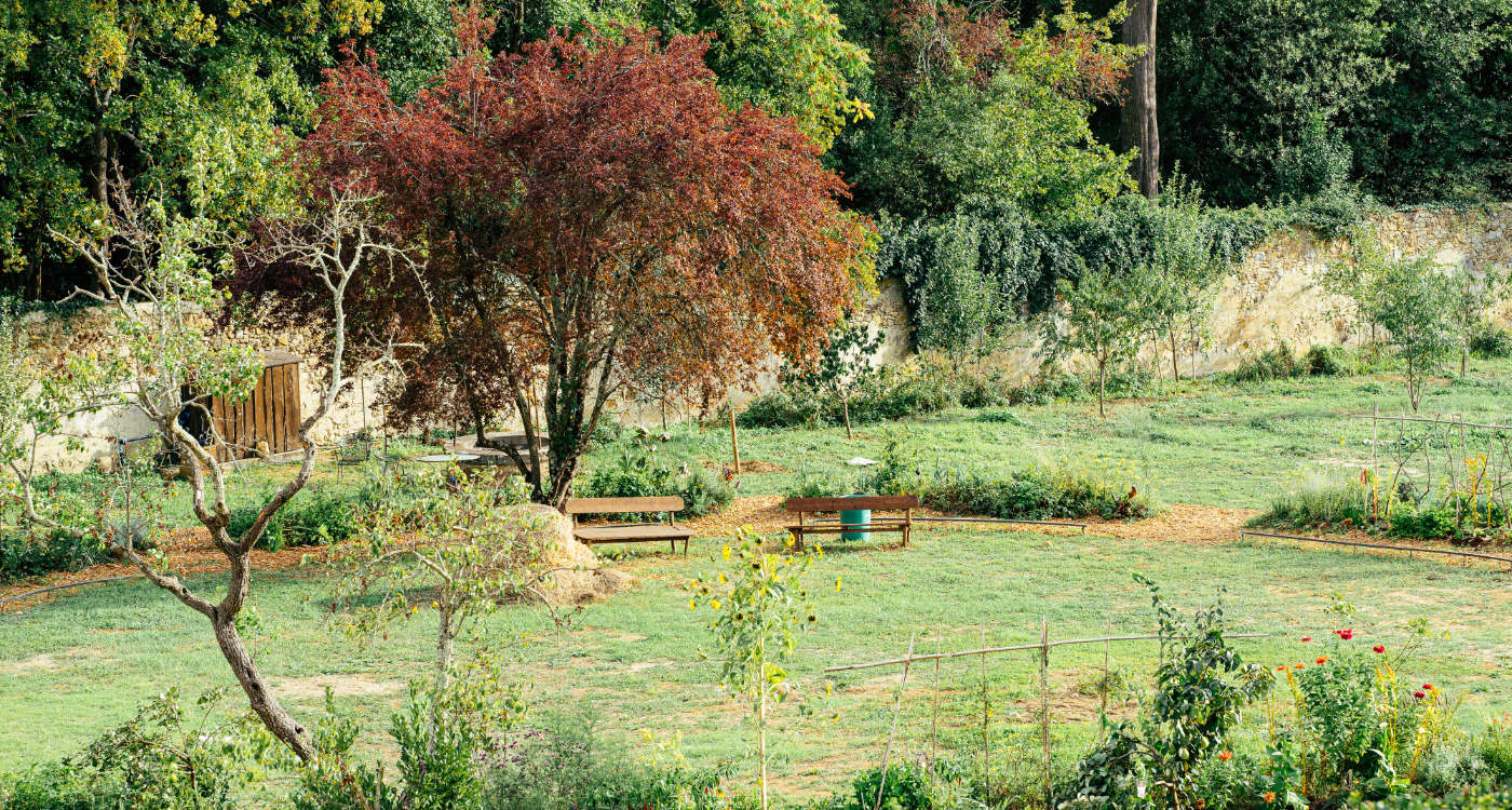 Image 80
