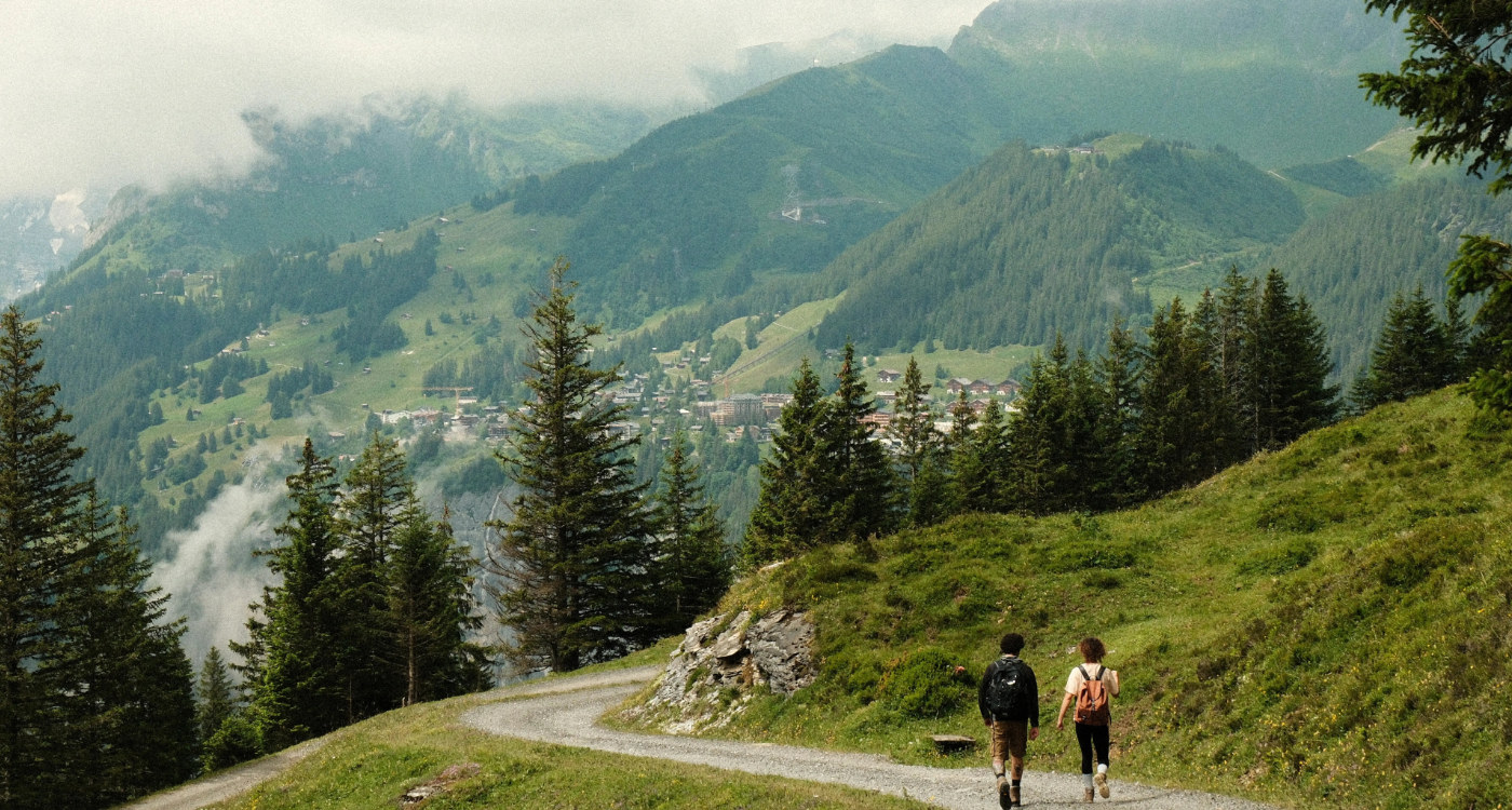 Image 15