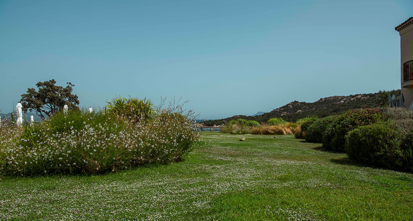 Image 88