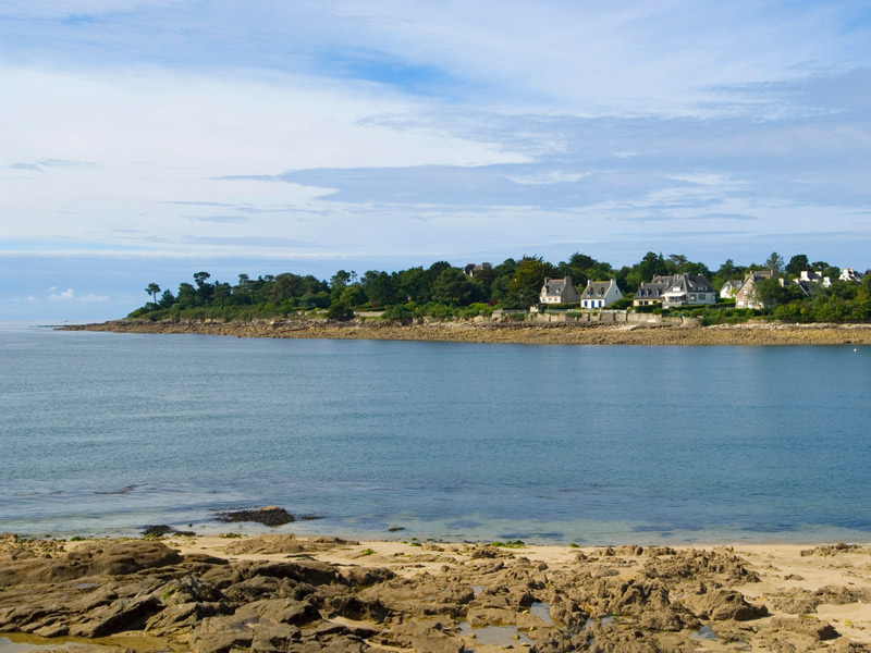 Image 15