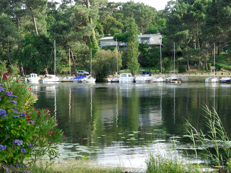 Image 21