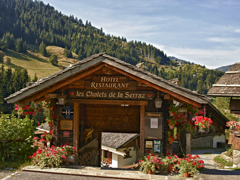 Image 11