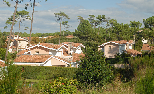 Image 15