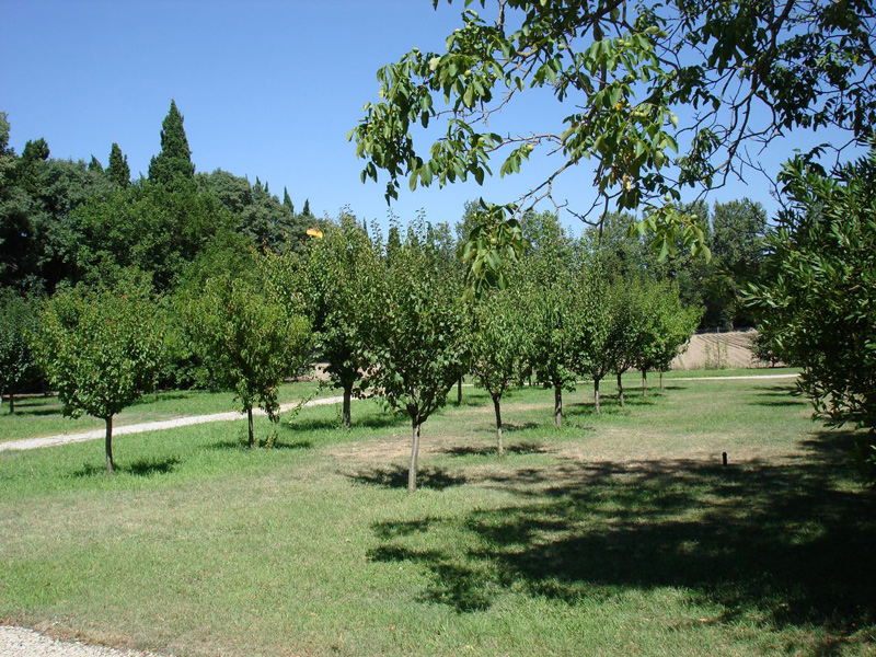 Image 18