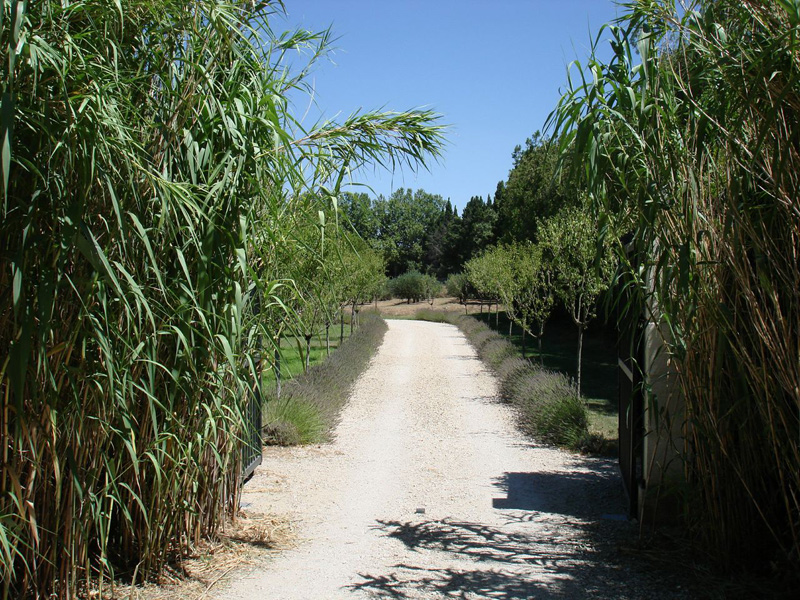 Image 19
