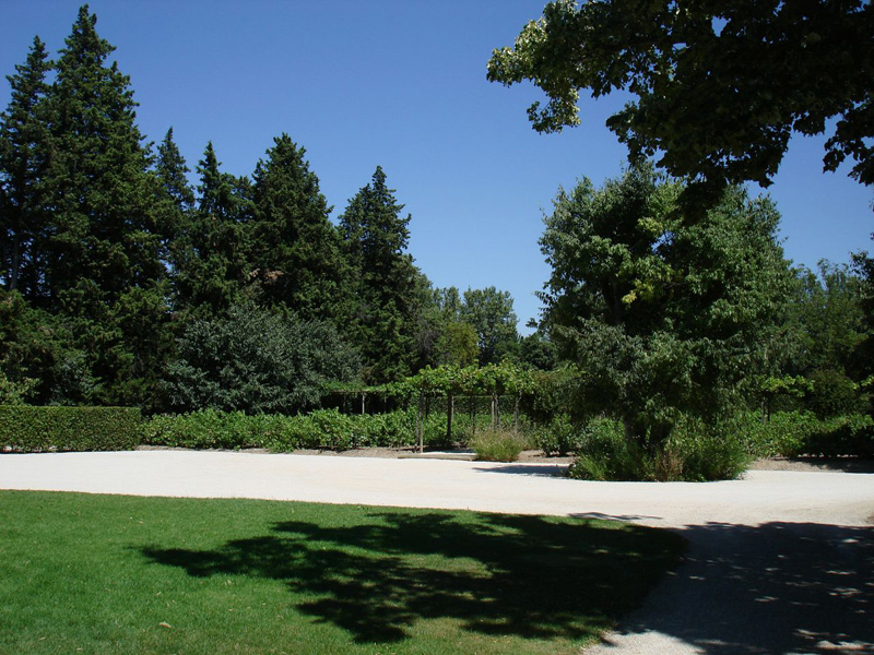 Image 20