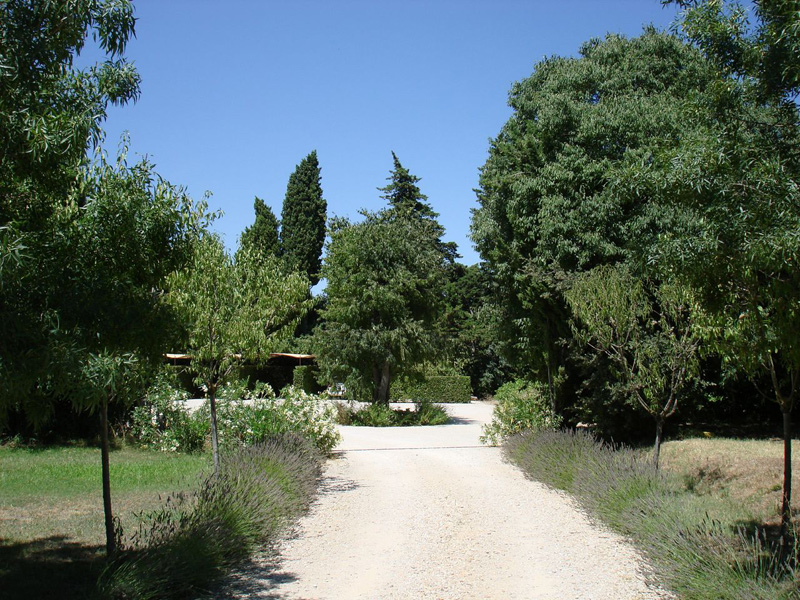 Image 21